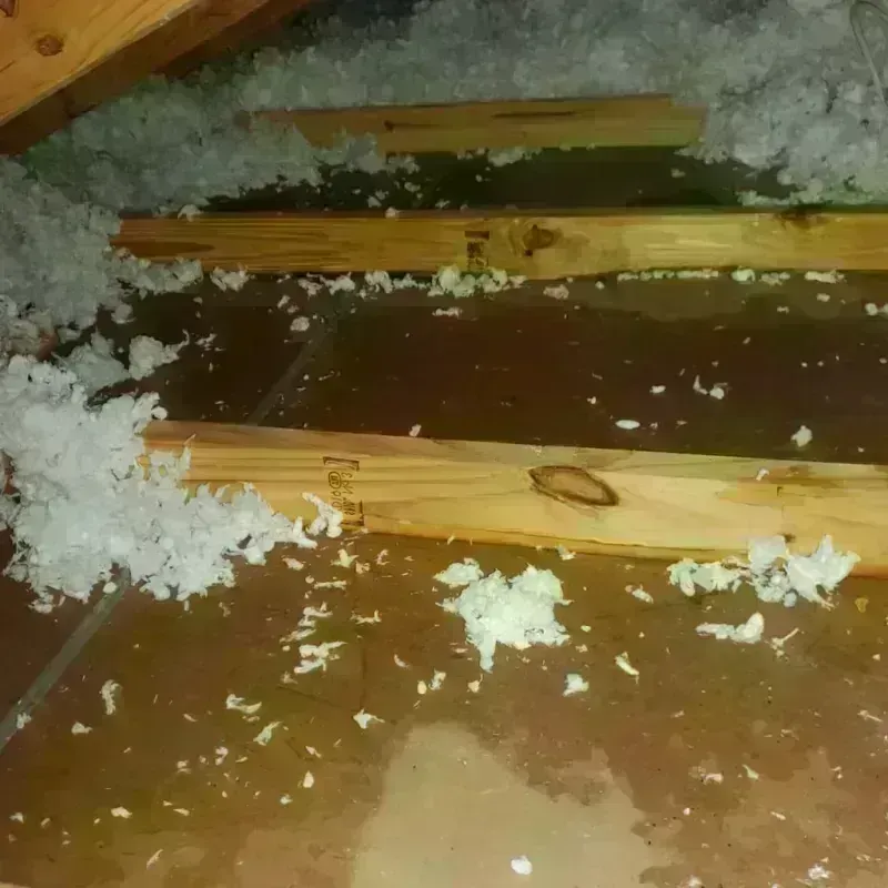 Attic Water Damage in Pittsfield, ME